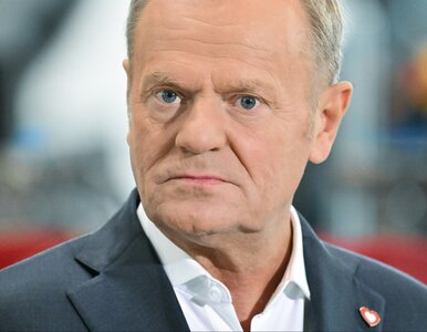 Miniatura: Szykuje się spora obniżka cen gazu. Tusk...