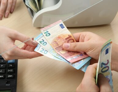 Miniatura: W wakacje za euro zapłacisz więcej?...