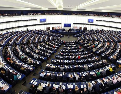 Miniatura: Sondaż przed wyborami do PE. Pewne...