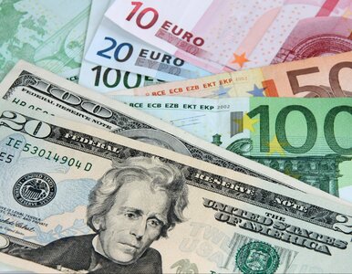 Miniatura: Kursy walut. Po ile dziś euro, dolar,...
