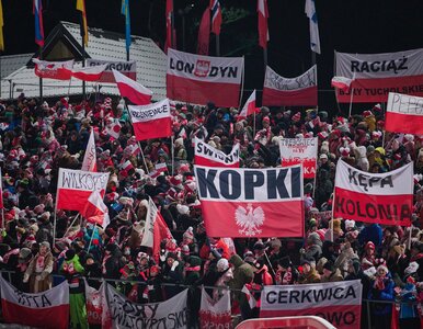 Miniatura: Polscy kibice nie szanują biało-czerwonej...